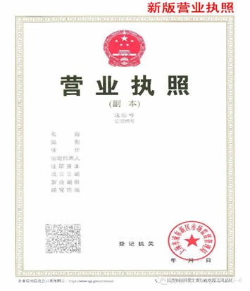 注册成个人独资公司还是多人股份公司