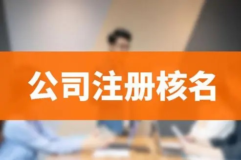 奉贤公司注册核名流程解析及办理步骤